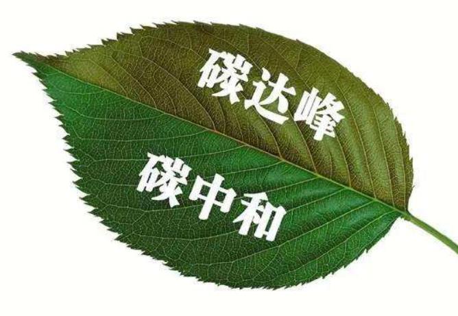 廣東能創(chuàng)科技參與臺山市茫洲島5G智慧氫能海島建設項目.jpg
